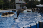 thumbs/seaworld 022.png